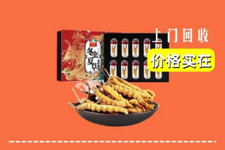 卓资县回收冬虫夏草